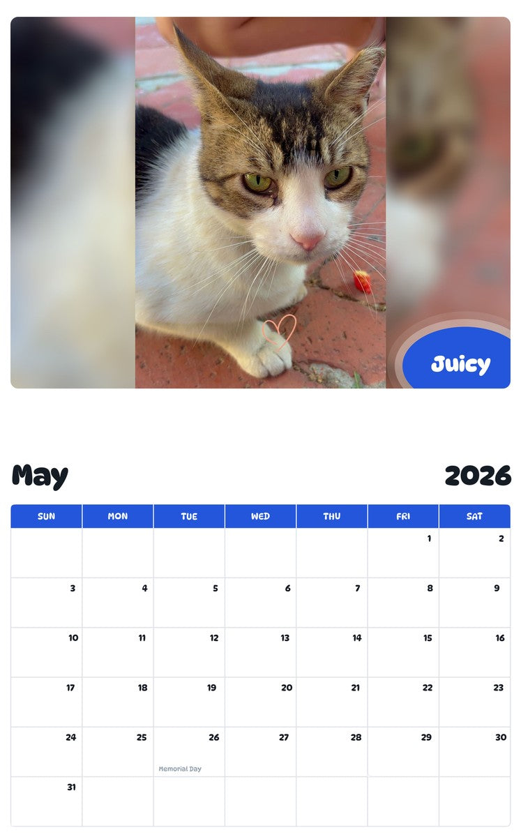 2026 - 2027 Juicy - Pawidols Pet Calendar