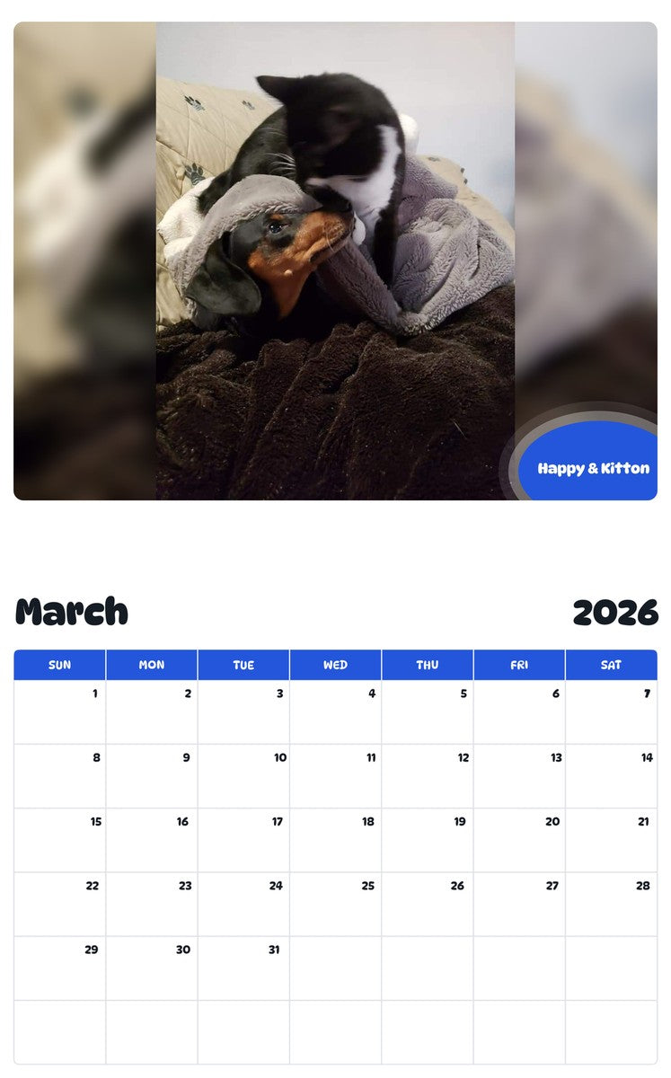 November 2025 - October 2026 Happy & Kitton - Pawidols Pet Calendar