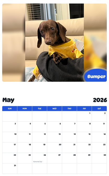 2026 - 2027 Bumper - Pawidols Pet Calendar