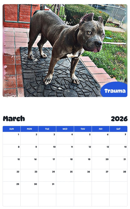November 2025 - October 2026 Trauma - Pawidols Pet Calendar