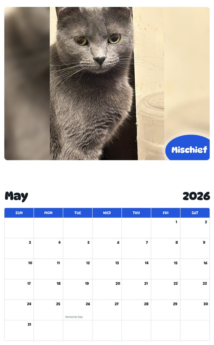 2026 - 2027 Mischief - Pawidols Pet Calendar