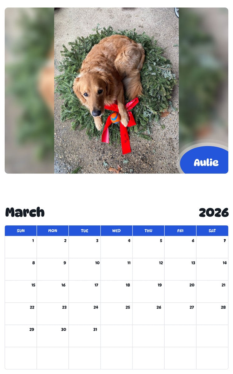 November 2025 - October 2026 Aulie - Pawidols Pet Calendar