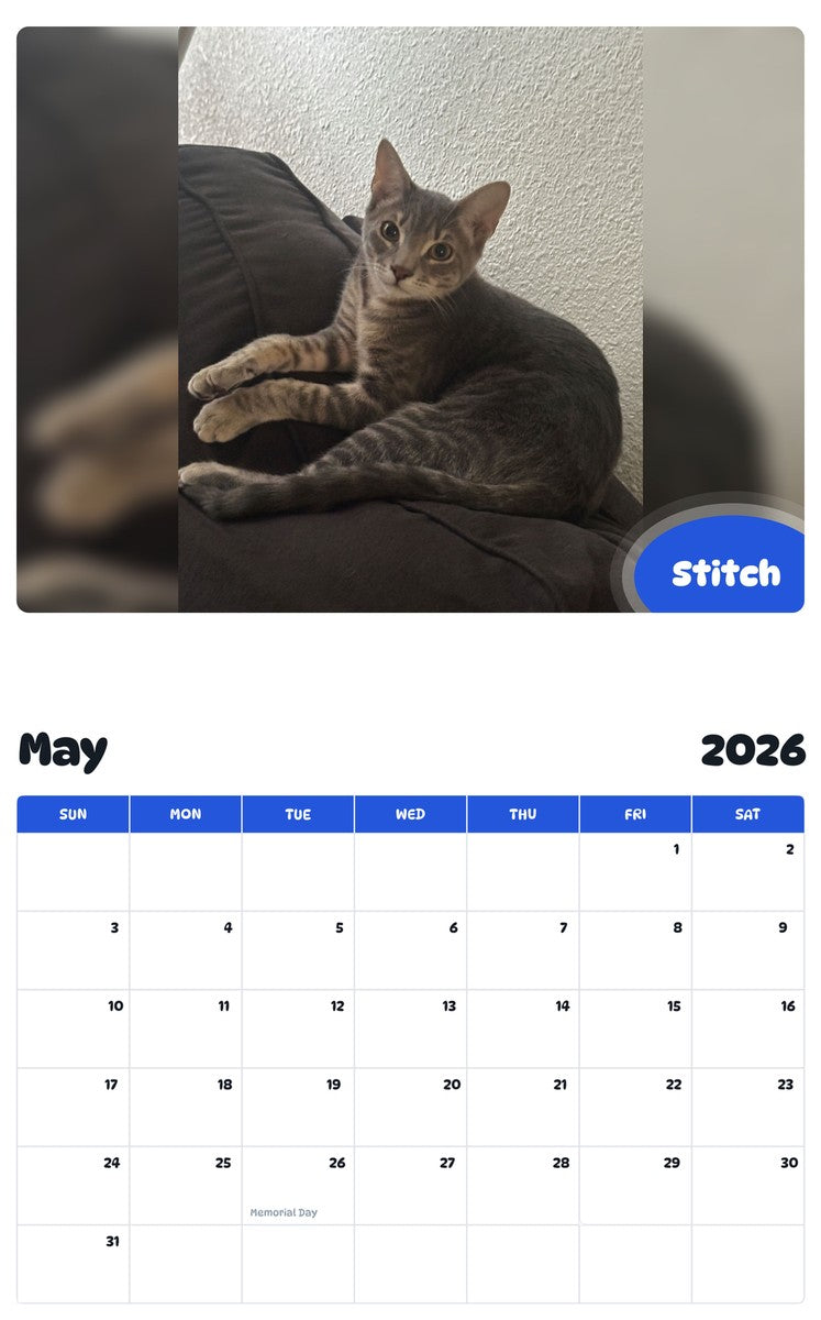 2026 - 2027 Stitch - Pawidols Pet Calendar