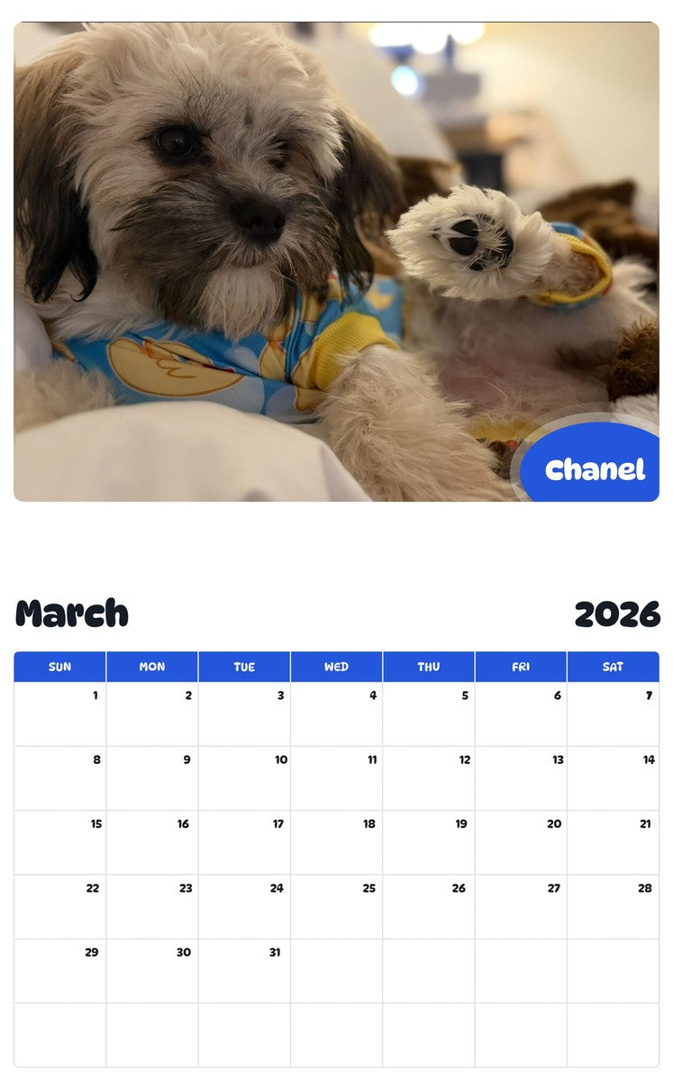 November 2025 - October 2026 Chanel - Pawidols Pet Calendar