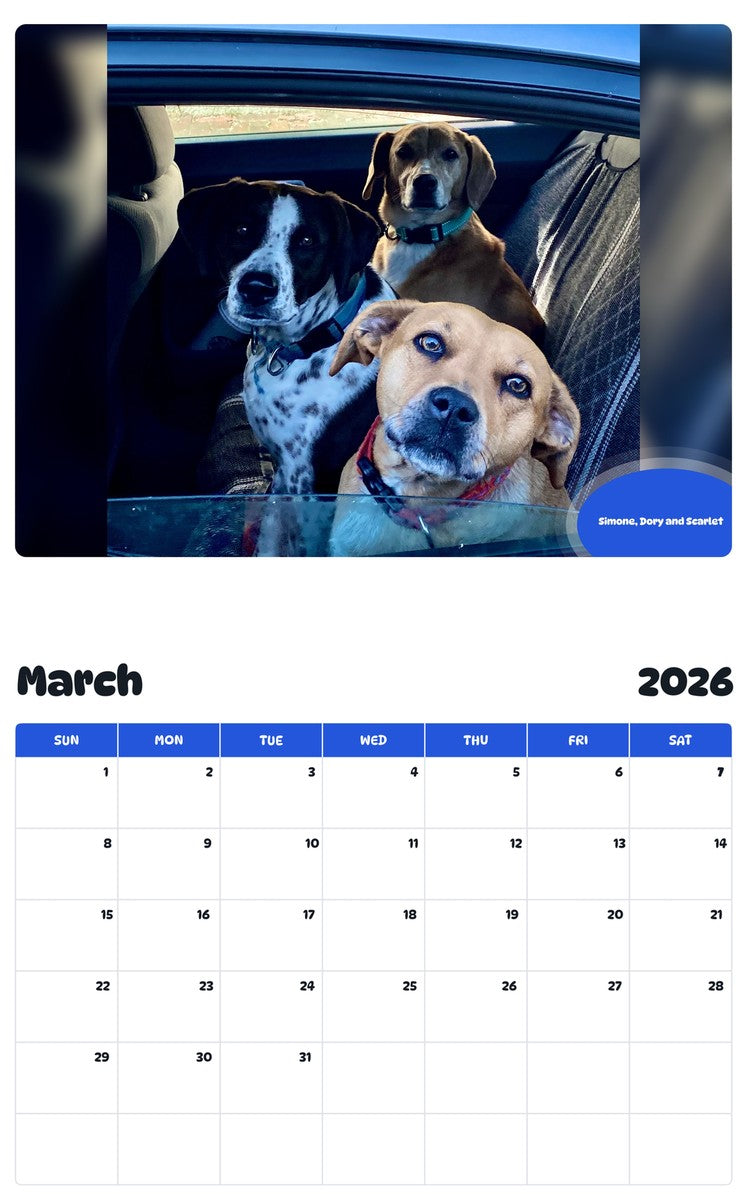 November 2025 - October 2026 Simone, Dory and Scarlet - Pawidols Pet Calendar