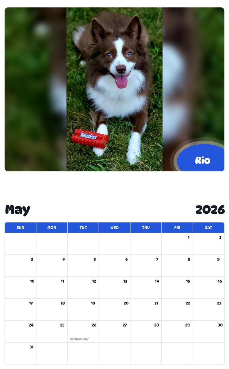 2026 - 2027 Rio - Pawidols Pet Calendar