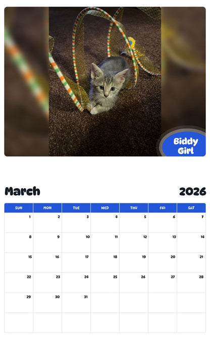 November 2025 - October 2026 Biddy Girl - Pawidols Pet Calendar