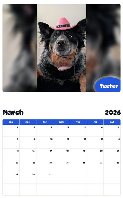 November 2025 - October 2026 Teeter - Pawidols Pet Calendar