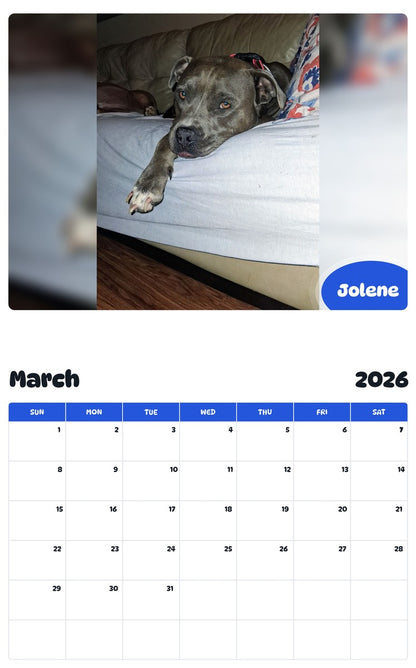 November 2025 - October 2026 Jolene - Pawidols Pet Calendar