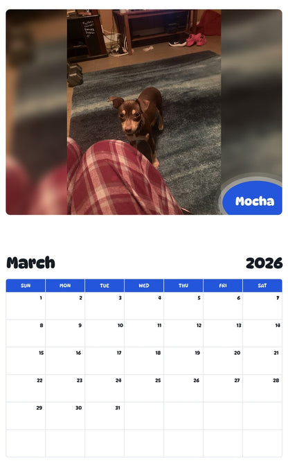 November 2025 - October 2026 Mocha - Pawidols Pet Calendar
