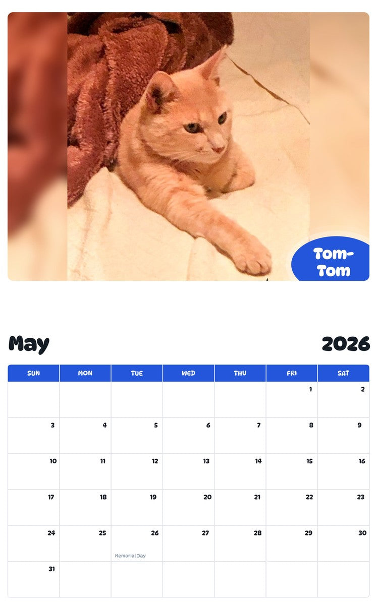 2026 - 2027 Tom-Tom - Pawidols Pet Calendar