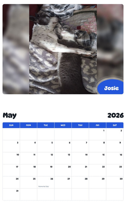 2026 - 2027 Josie - Pawidols Pet Calendar