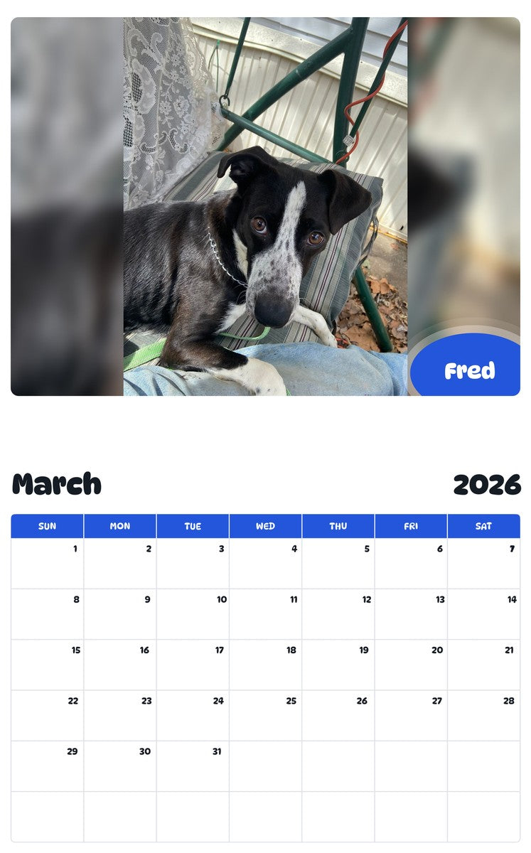 November 2025 - October 2026 Fred - Pawidols Pet Calendar