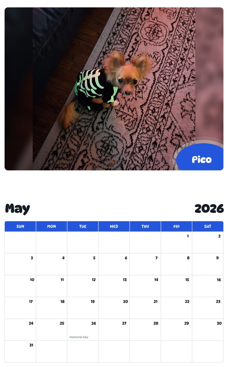 2026 - 2027 Pico - Pawidols Pet Calendar