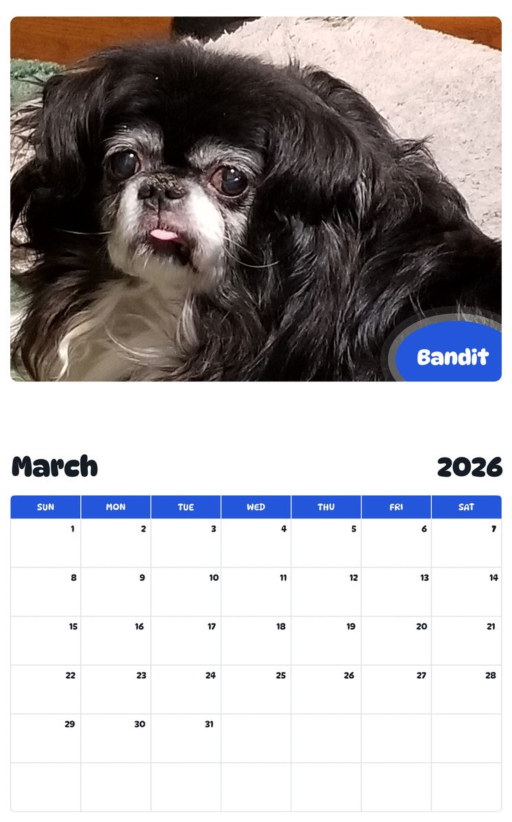 November 2025 - October 2026 Bandit - Pawidols Pet Calendar