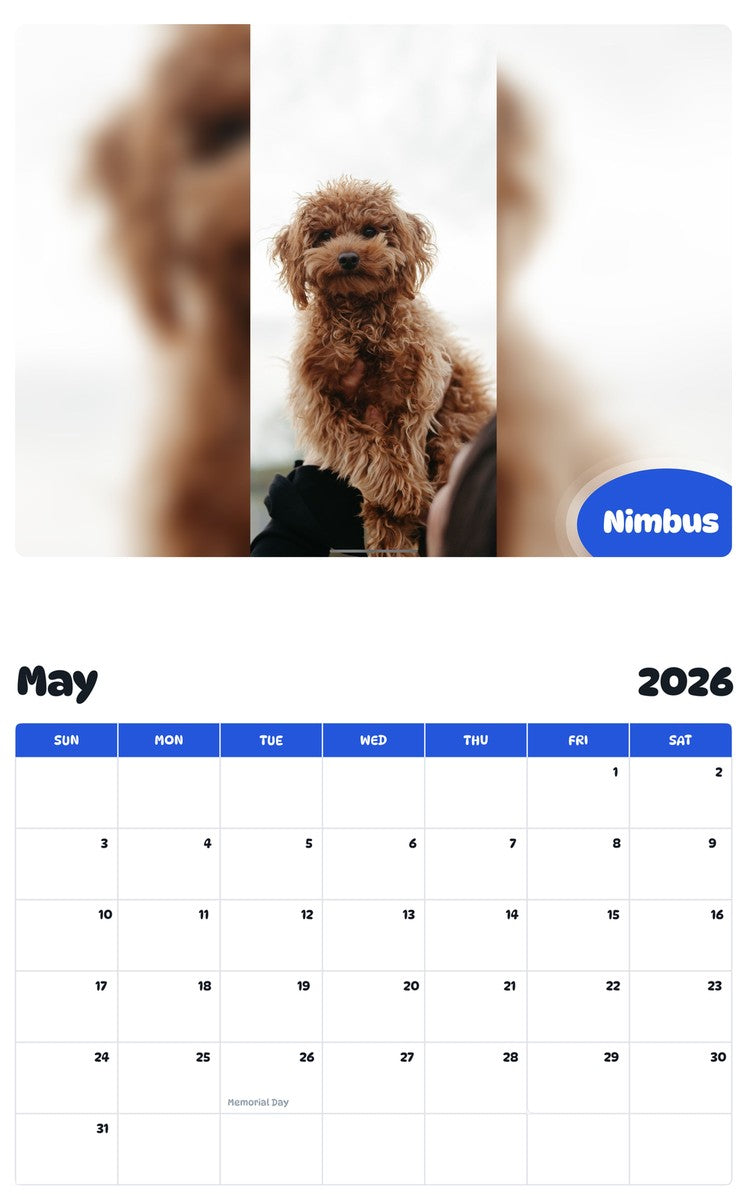 2026 - 2027 Nimbus - Pawidols Pet Calendar