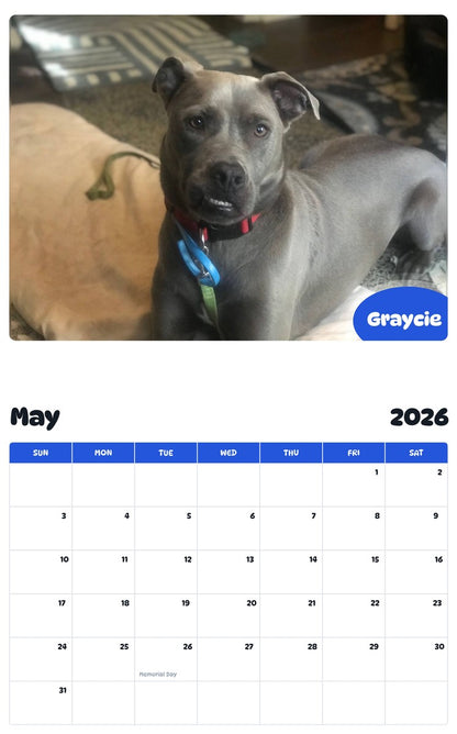 2026 - 2027 Graycie - Pawidols Pet Calendar