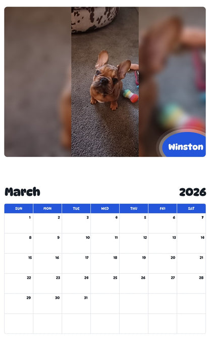 November 2025 - October 2026 Winston - Pawidols Pet Calendar