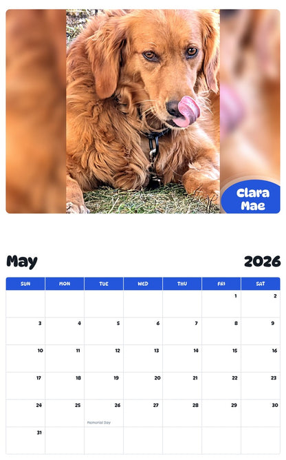 2026 - 2027 Clara Mae - Pawidols Pet Calendar