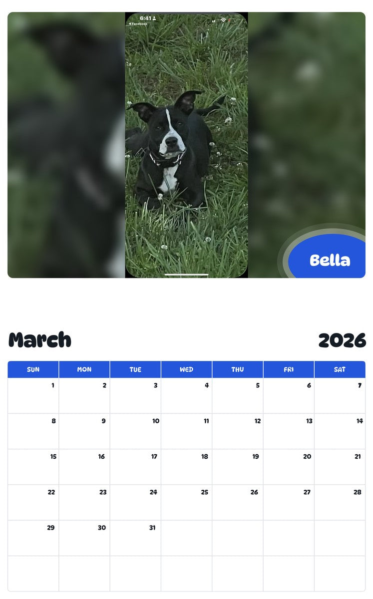 November 2025 - October 2026 Bella - Pawidols Pet Calendar