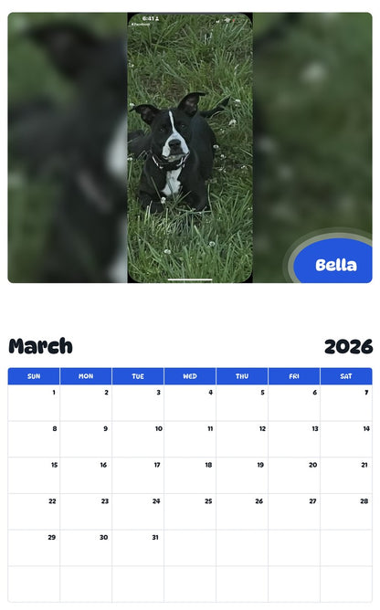 November 2025 - October 2026 Bella - Pawidols Pet Calendar