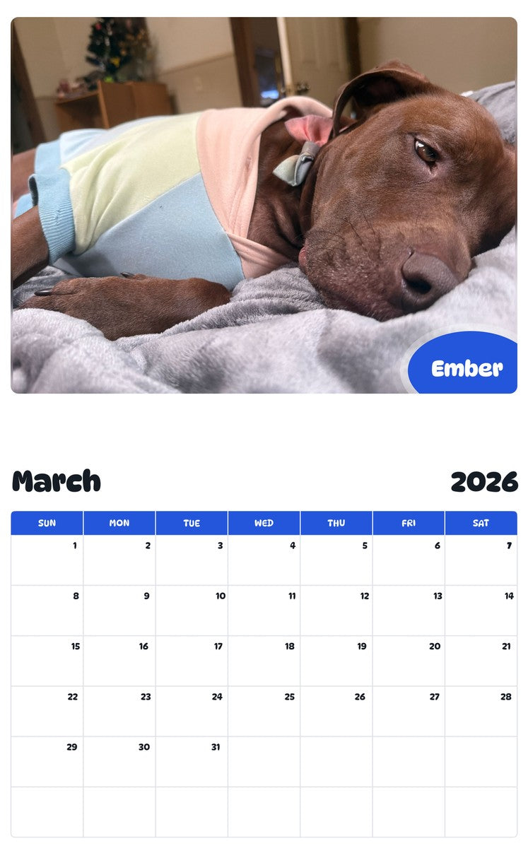 November 2025 - October 2026 Ember - Pawidols Pet Calendar
