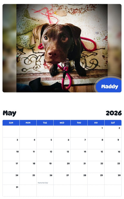2026 - 2027 Maddy - Pawidols Pet Calendar