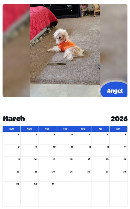 November 2025 - October 2026 Angel - Pawidols Pet Calendar