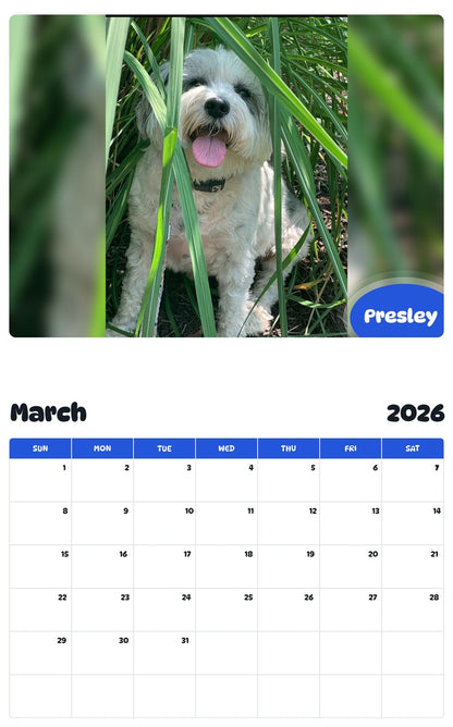 November 2025 - October 2026 Presley - Pawidols Pet Calendar