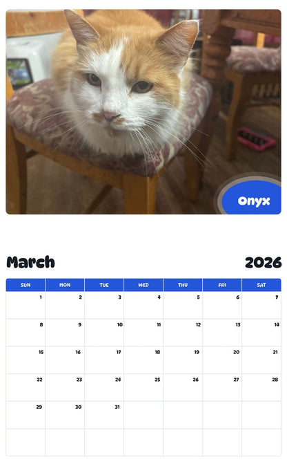 November 2025 - October 2026 Onyx - Pawidols Pet Calendar