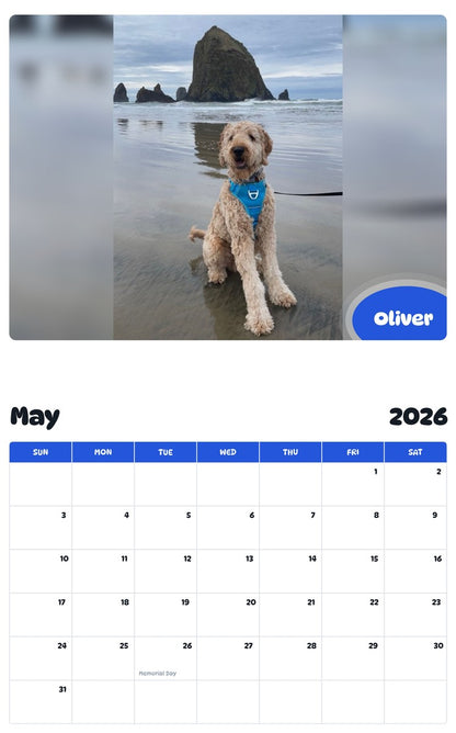 2026 - 2027 Oliver - Pawidols Pet Calendar