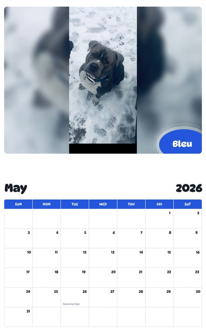 2026 - 2027 Bleu - Pawidols Pet Calendar