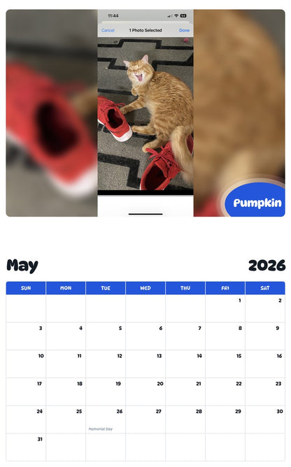 2026 - 2027 Pumpkin - Pawidols Pet Calendar