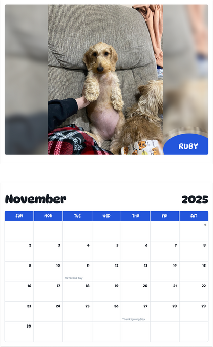 July 2025 - June 2026 Ruby - Pawidols Pet Calendar