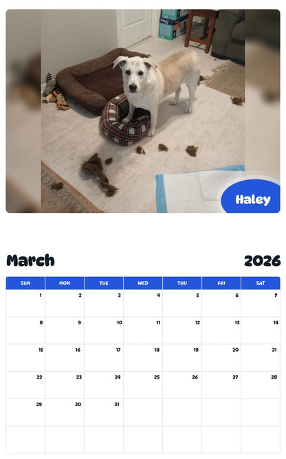 November 2025 - October 2026 Haley - Pawidols Pet Calendar
