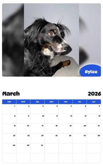 November 2025 - October 2026 Rylee - Pawidols Pet Calendar