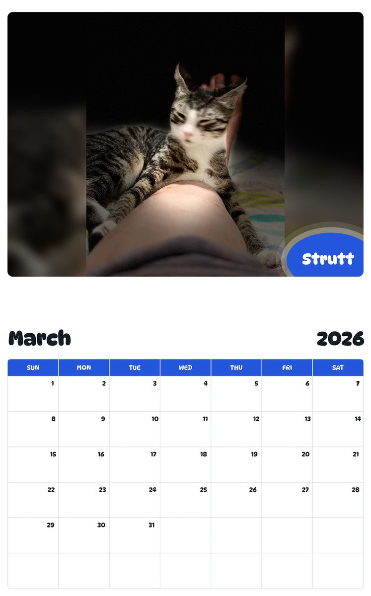 November 2025 - October 2026 Strutt - Pawidols Pet Calendar
