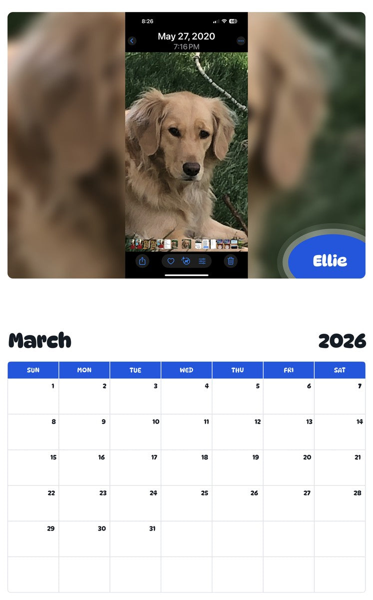 November 2025 - October 2026 Ellie - Pawidols Pet Calendar