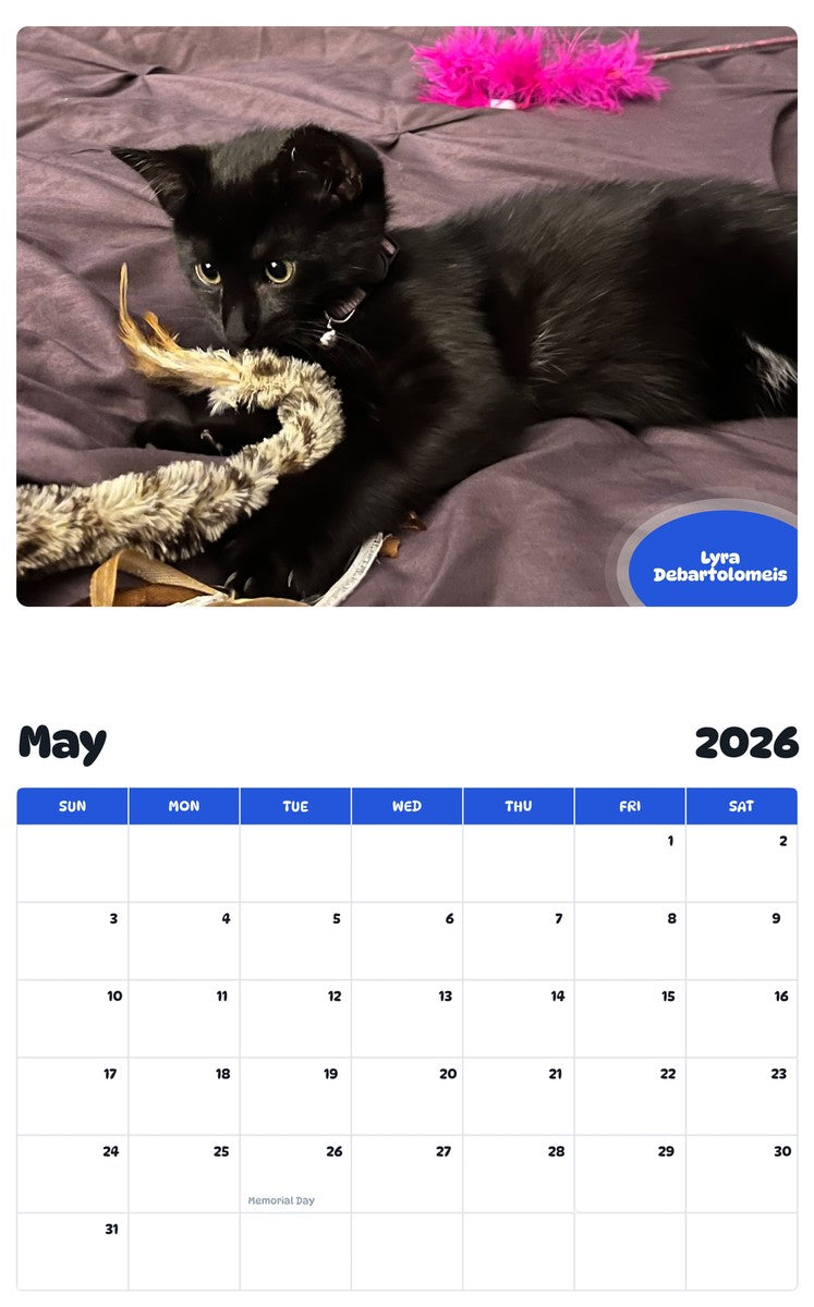 2026 - 2027 Lyra Debartolomeis - Pawidols Pet Calendar