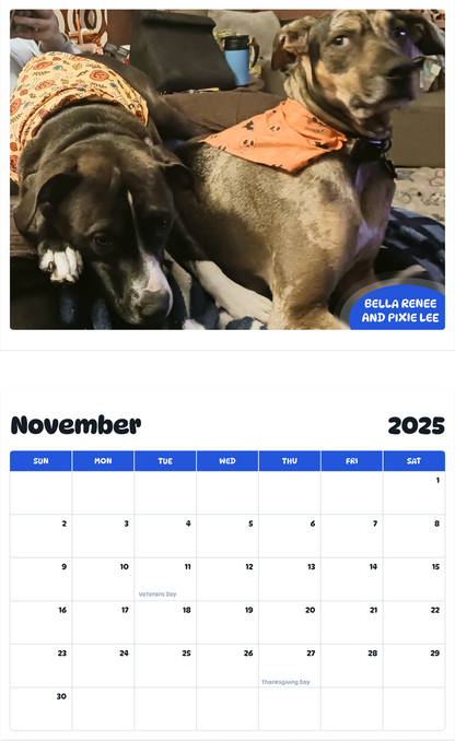 July 2025 - June 2026 Bella Renee and Pixie Lee - Pawidols Pet Calendar