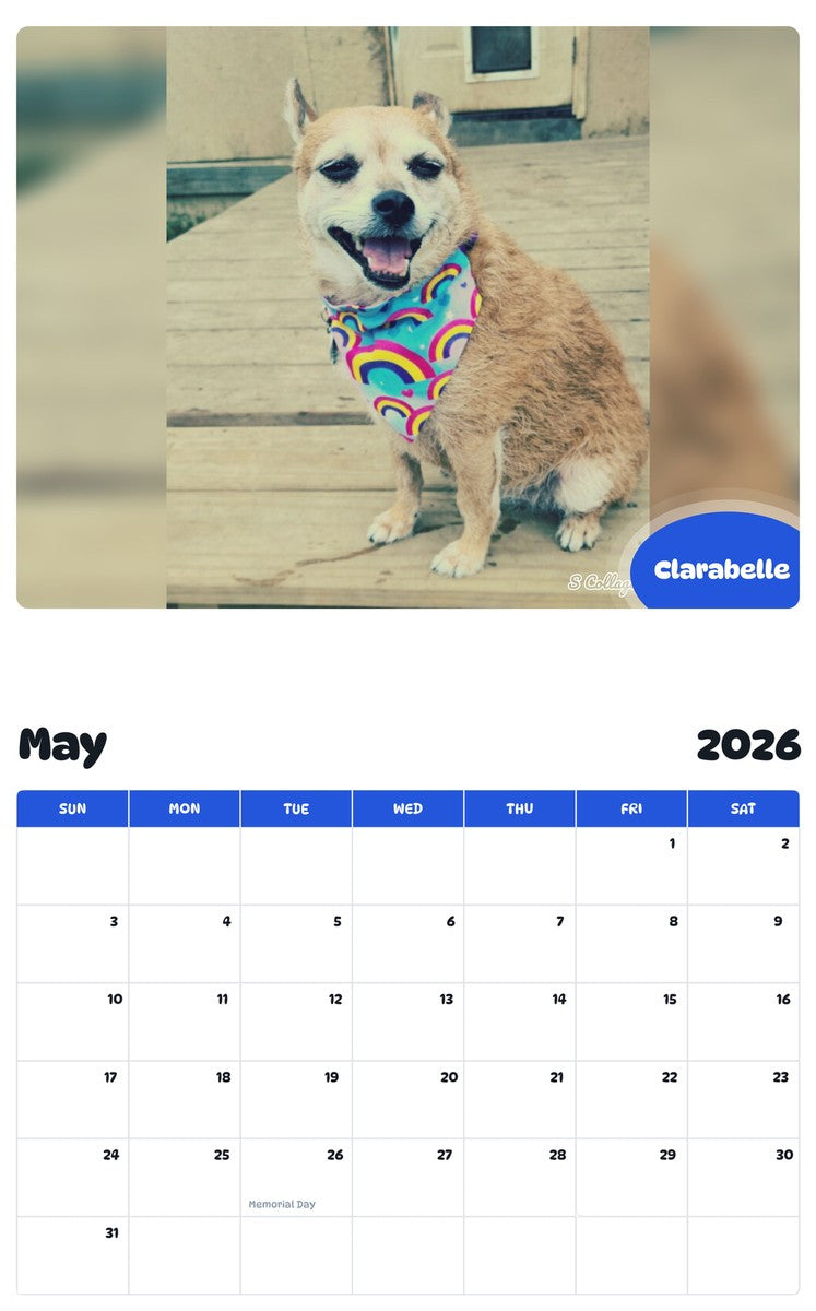 2026 - 2027 Clarabelle - Pawidols Pet Calendar