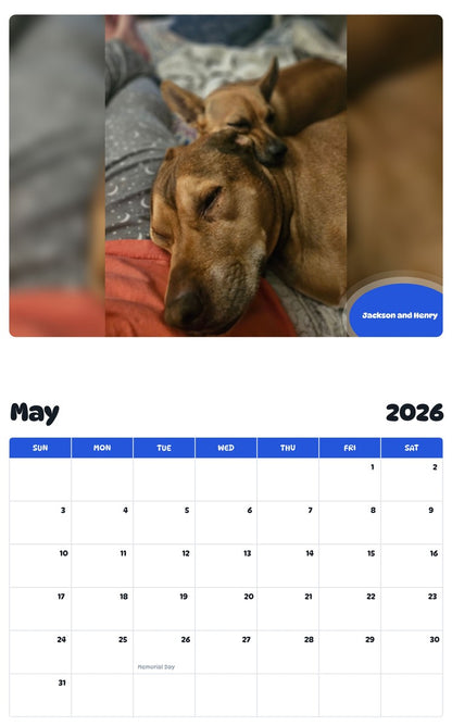 2026 - 2027 Jackson and Henry - Pawidols Pet Calendar