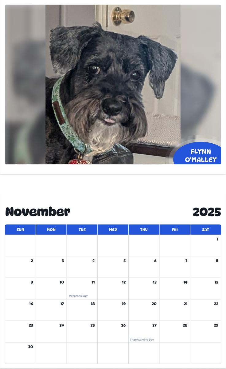 July 2025 - June 2026 Flynn O'Malley - Pawidols Pet Calendar
