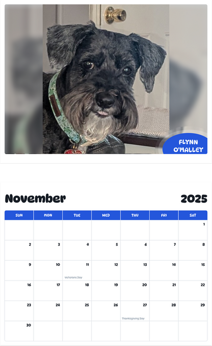 July 2025 - June 2026 Flynn O'Malley - Pawidols Pet Calendar