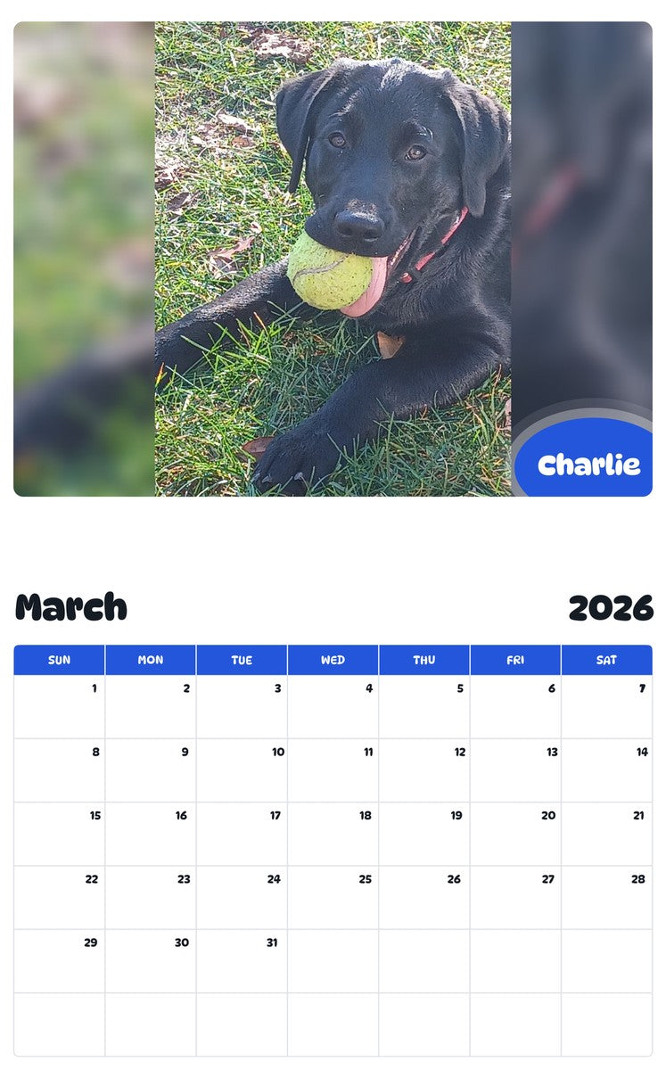 November 2025 - October 2026 Charlie - Pawidols Pet Calendar