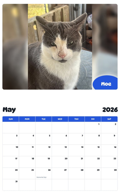2026 - 2027 Moe - Pawidols Pet Calendar