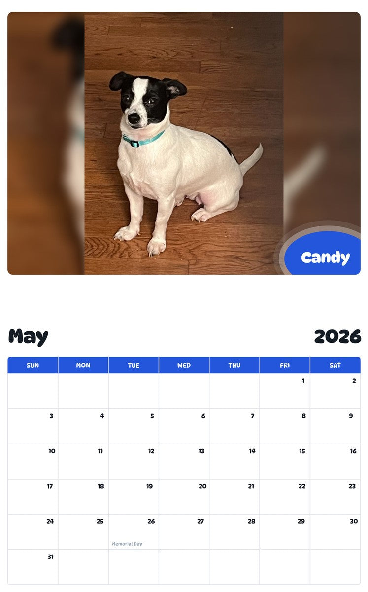 2026 - 2027 Candy - Pawidols Pet Calendar