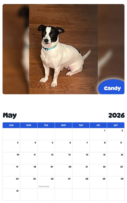 2026 - 2027 Candy - Pawidols Pet Calendar