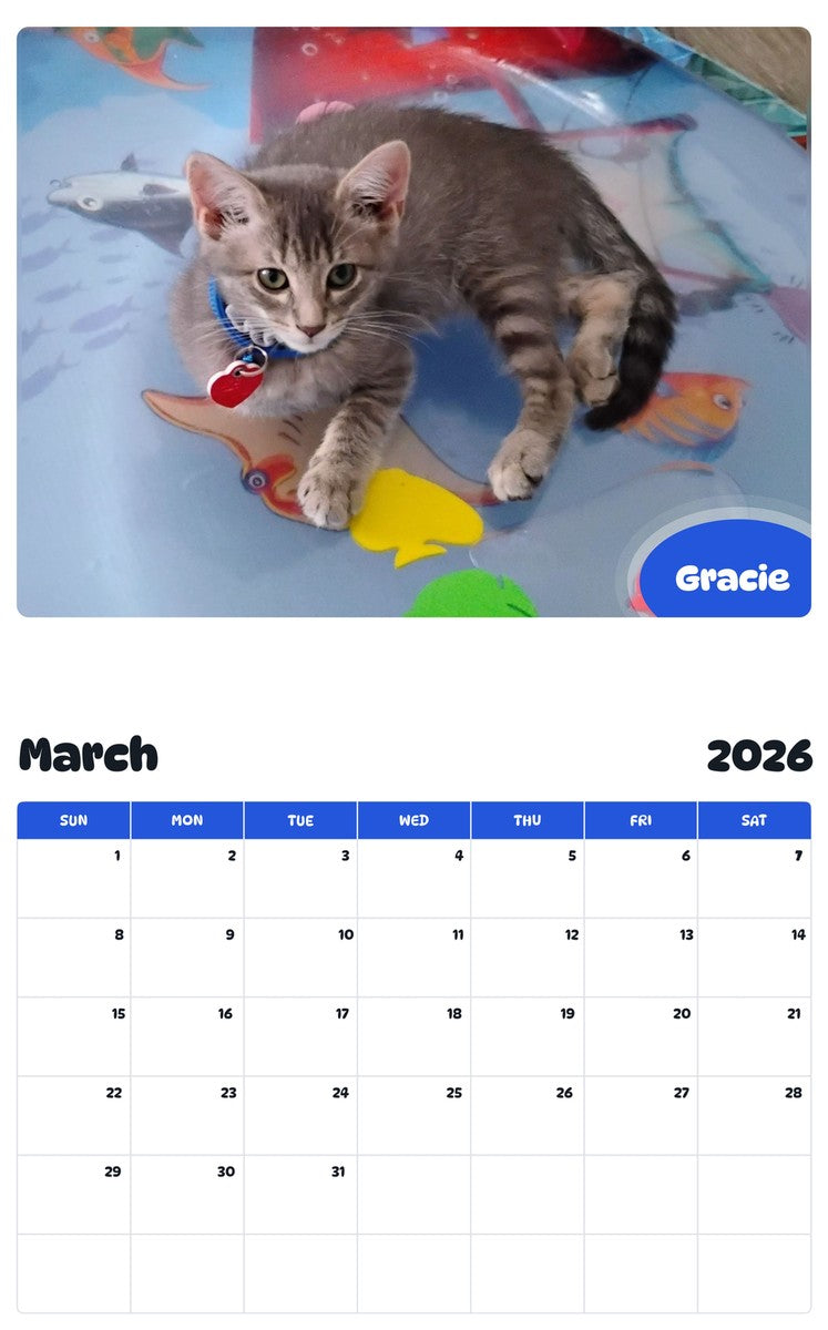 November 2025 - October 2026 Gracie - Pawidols Pet Calendar