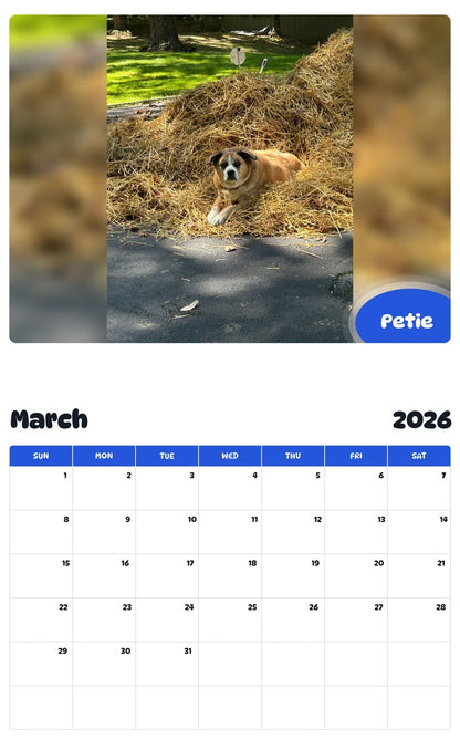 November 2025 - October 2026 Petie - Pawidols Pet Calendar